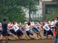 工学院大学附属高中体育祭-拔河