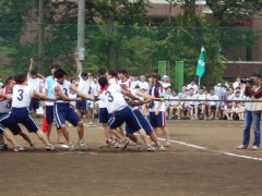 工学院大学附属高中体育祭-拔河