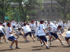 工学院大学附属高中体育祭-五绳拔河