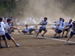 工学院大学附属高中体育祭-五绳拔河