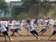 工学院大学附属高中体育祭-五绳拔河