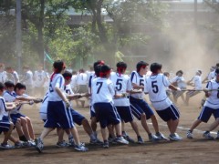 工学院大学附属高中体育祭-五绳拔河