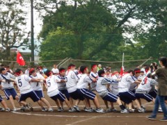 工学院大学附属高中体育祭-拔河