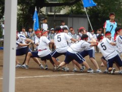 工学院大学附属高中体育祭-拔河