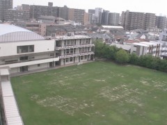  好文学园女子高等学校校园风景之天然草坪