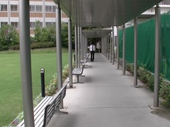  好文学园女子高等学校校园风景之教学楼