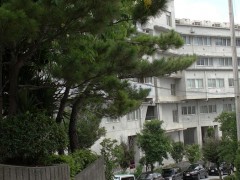 冲绳尚学高等学校校园
