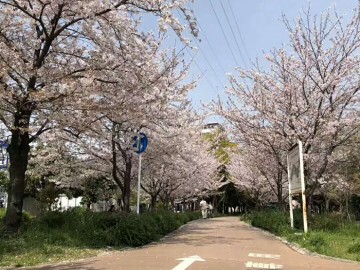 好文学园女子高中留学生宿舍周边环境