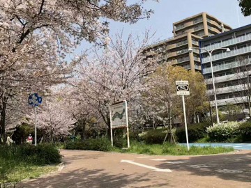 好文学园女子高中留学生宿舍周边环境