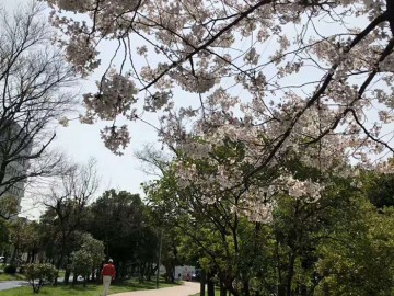 好文学园女子高中留学生宿舍周边环境