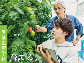 有没有农学专业比较好的日本大学推荐？