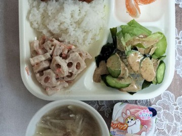 中日网日本留学网学生宿舍日常伙食（12.05）