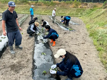 西山学院高中在农场举行课外活动