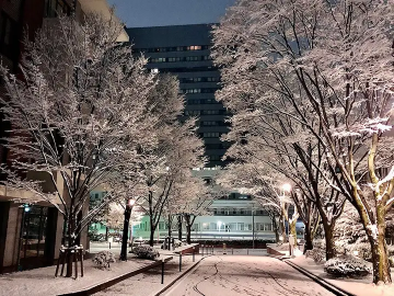 学费比私立大学更便宜——日本国立大学有哪些？