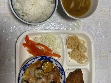 中日网日本留学网学生宿舍日常伙食（10.11）