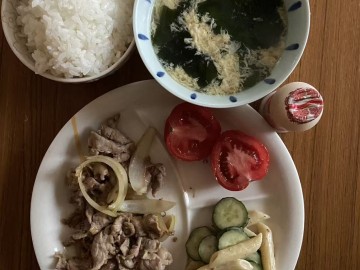 中日网日本留学网学生宿舍日常伙食（11.06）